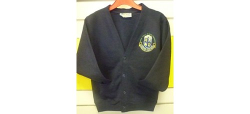 Cardigan - Llangewydd Juniors